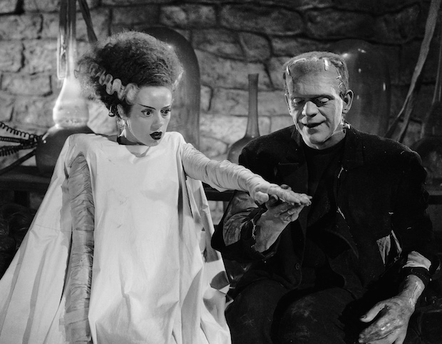 Bride of Frankenstein - The influence of Paradise Lost on Frankenstein